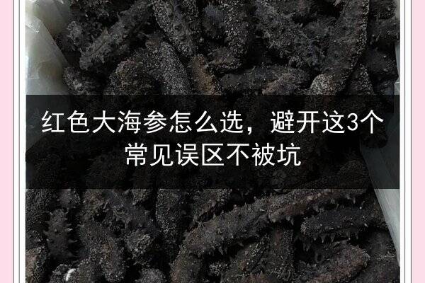 红色大海参怎么选，避开这3个常见误区不被坑