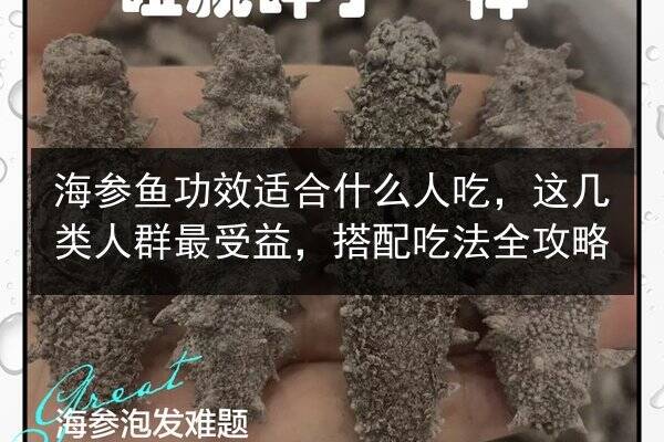 海参鱼功效适合什么人吃,这几类人群最受益,搭配吃法全攻略