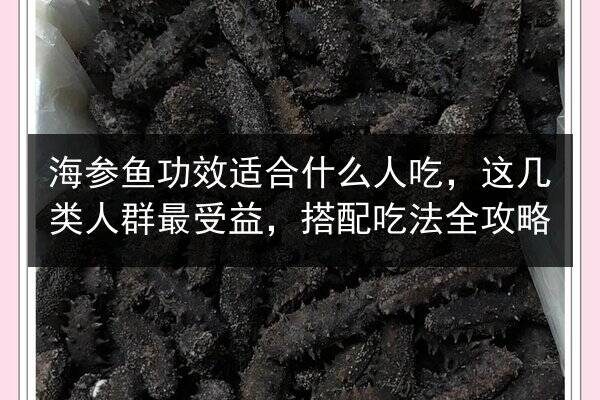 海参鱼功效适合什么人吃,这几类人群最受益,搭配吃法全攻略