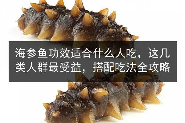 海参鱼功效适合什么人吃,这几类人群最受益,搭配吃法全攻略