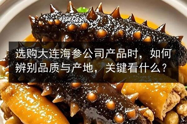 选购大连海参公司产品时,如何辨别品质与产地,关键看什么?