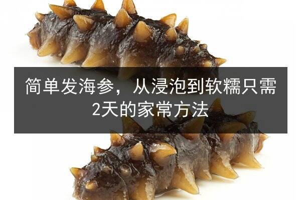 简单发海参，从浸泡到软糯只需2天的家常方法