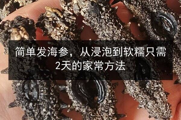 简单发海参，从浸泡到软糯只需2天的家常方法