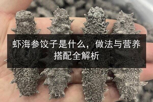 虾海参饺子是什么,做法与营养搭配全解析