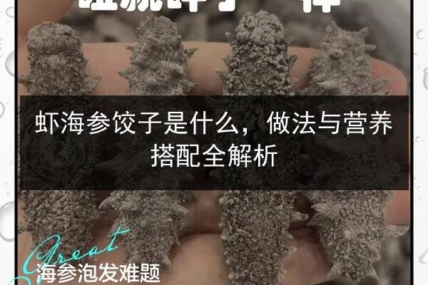 虾海参饺子是什么,做法与营养搭配全解析