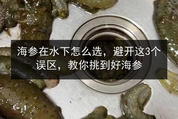 海参在水下怎么选,避开这3个误区,教你挑到好海参
