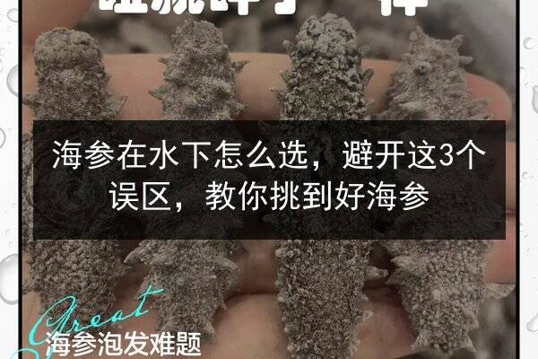 海参在水下怎么选,避开这3个误区,教你挑到好海参