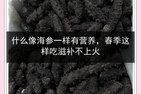 什么像海参一样有营养，春季这样吃滋补不上火