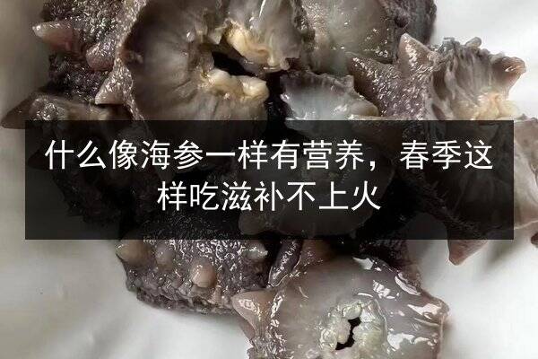 什么像海参一样有营养，春季这样吃滋补不上火