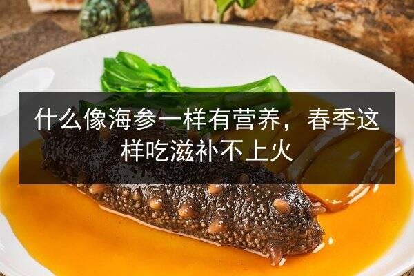 什么像海参一样有营养，春季这样吃滋补不上火