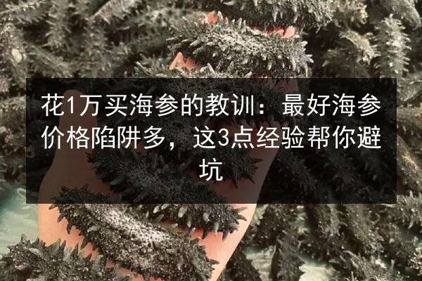 花1万买海参的教训:最好海参价格陷阱多,这3点经验帮你避坑