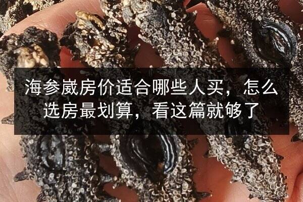 海参崴房价适合哪些人买，怎么选房最划算，看这篇就够了