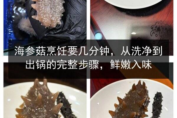 海参菇烹饪要几分钟,从洗净到出锅的完整步骤,鲜嫩入味