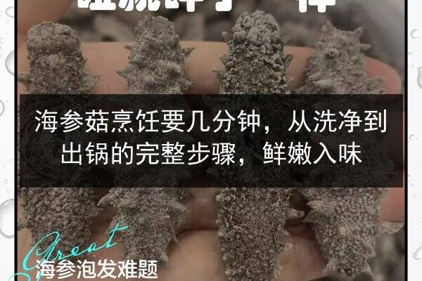 海参菇烹饪要几分钟,从洗净到出锅的完整步骤,鲜嫩入味