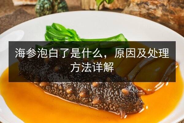 海参泡白了是什么,原因及处理方法详解