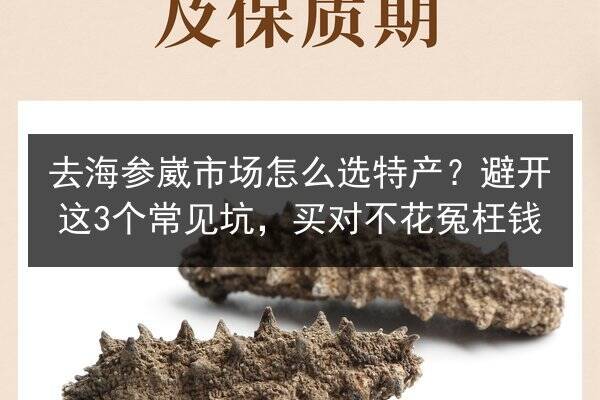 去海参崴市场怎么选特产？避开这3个常见坑，买对不花冤枉钱