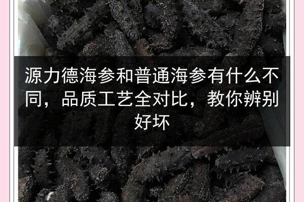 源力德海参和普通海参有什么不同,品质工艺全对比,教你辨别好坏