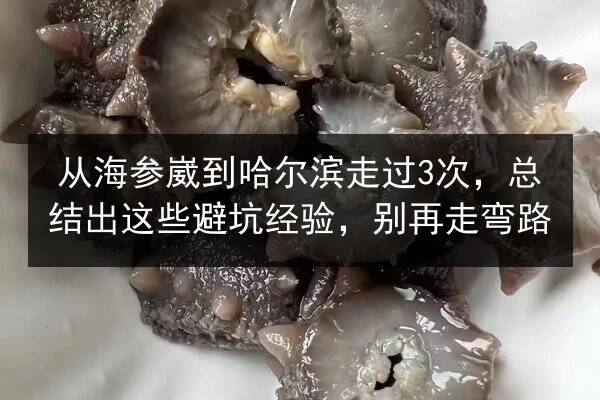 从海参崴到哈尔滨走过3次,总结出这些避坑经验,别再走弯路