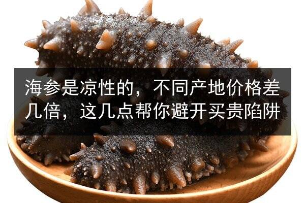 海参是凉性的，不同产地价格差几倍，这几点帮你避开买贵陷阱