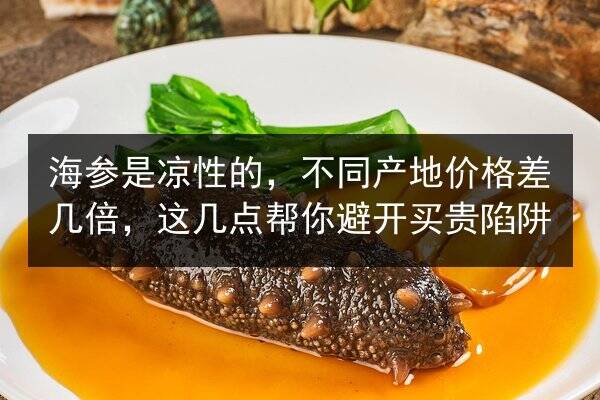 海参是凉性的，不同产地价格差几倍，这几点帮你避开买贵陷阱