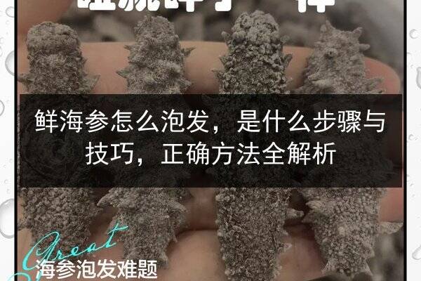 鲜海参怎么泡发，是什么步骤与技巧，正确方法全解析