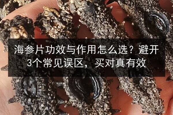 海参片功效与作用怎么选？避开3个常见误区，买对真有效