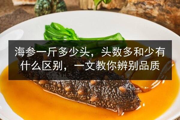 海参一斤多少头，头数多和少有什么区别，一文教你辨别品质
