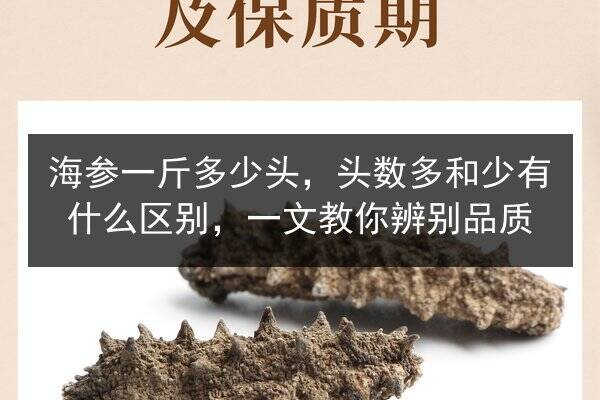 海参一斤多少头，头数多和少有什么区别，一文教你辨别品质