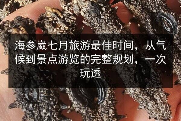 海参崴七月旅游最佳时间,从气候到景点游览的完整规划,一次玩透