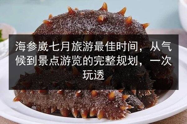 海参崴七月旅游最佳时间,从气候到景点游览的完整规划,一次玩透