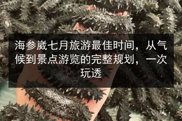 海参崴七月旅游最佳时间,从气候到景点游览的完整规划,一次玩透