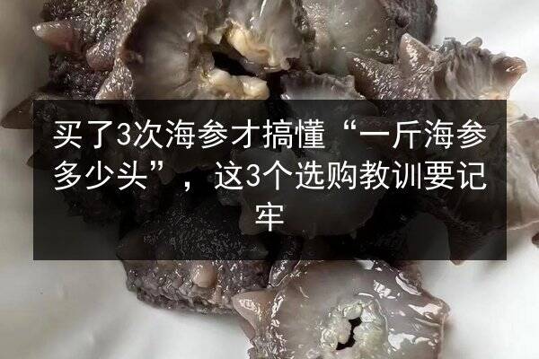 买了3次海参才搞懂“一斤海参多少头”,这3个选购教训要记牢