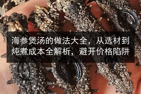 海参煲汤的做法大全，从选材到炖煮成本全解析，避开价格陷阱