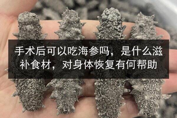 手术后可以吃海参吗,是什么滋补食材,对身体恢复有何帮助