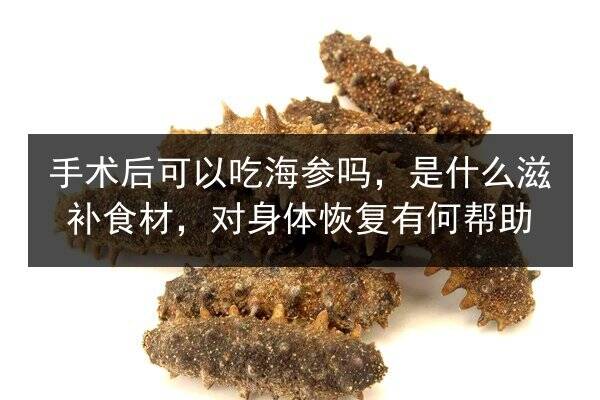 手术后可以吃海参吗,是什么滋补食材,对身体恢复有何帮助