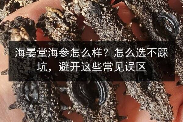 海晏堂海参怎么样?怎么选不踩坑,避开这些常见误区