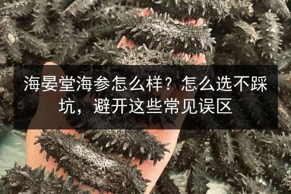 海晏堂海参怎么样?怎么选不踩坑,避开这些常见误区