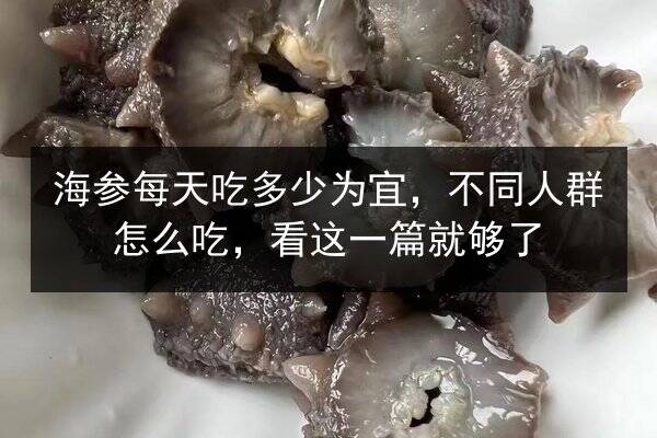 海参每天吃多少为宜,不同人群怎么吃,看这一篇就够了