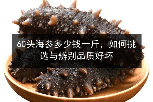 60头海参多少钱一斤,如何挑选与辨别品质好坏