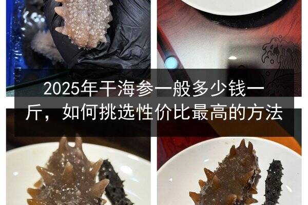 2025年干海参一般多少钱一斤,如何挑选性价比最高的方法