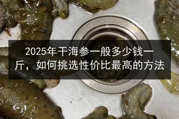 2025年干海参一般多少钱一斤,如何挑选性价比最高的方法