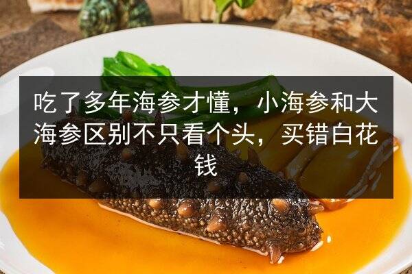 吃了多年海参才懂，小海参和大海参区别不只看个头，买错白花钱