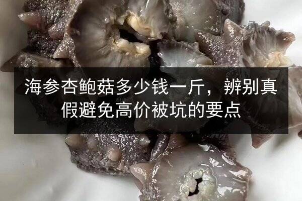 海参杏鲍菇多少钱一斤,辨别真假避免高价被坑的要点