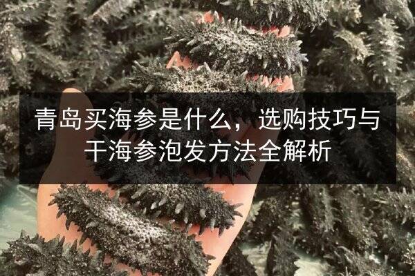 青岛买海参是什么,选购技巧与干海参泡发方法全解析