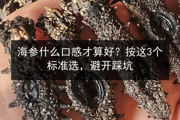 海参什么口感才算好？按这3个标准选，避开踩坑