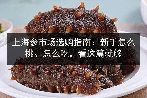 上海参市场选购指南:新手怎么挑、怎么吃,看这篇就够