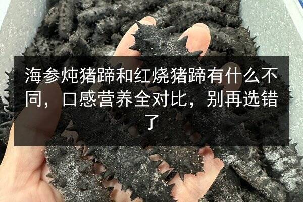 海参炖猪蹄和红烧猪蹄有什么不同，口感营养全对比，别再选错了