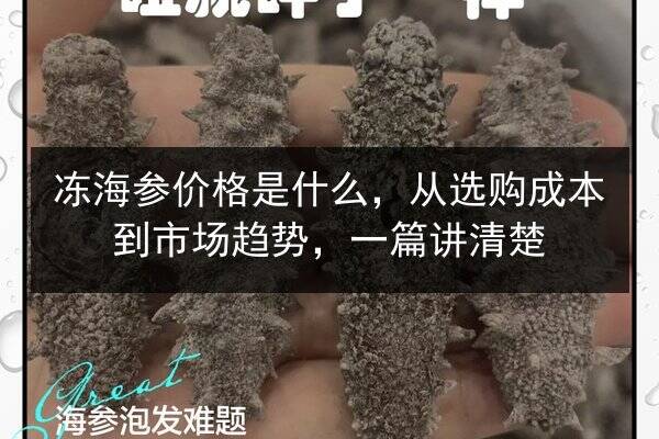 冻海参价格是什么，从选购成本到市场趋势，一篇讲清楚