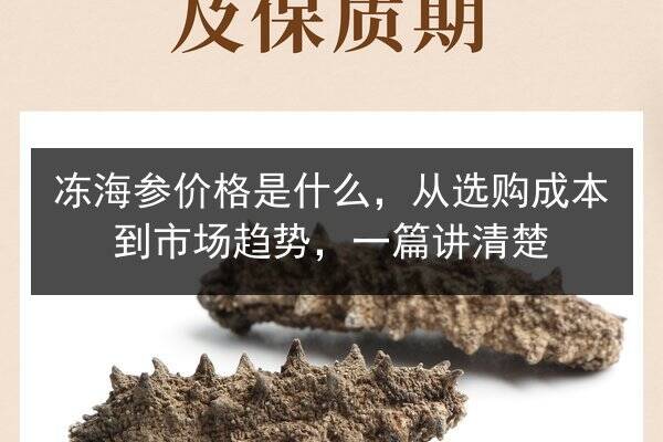 冻海参价格是什么，从选购成本到市场趋势，一篇讲清楚