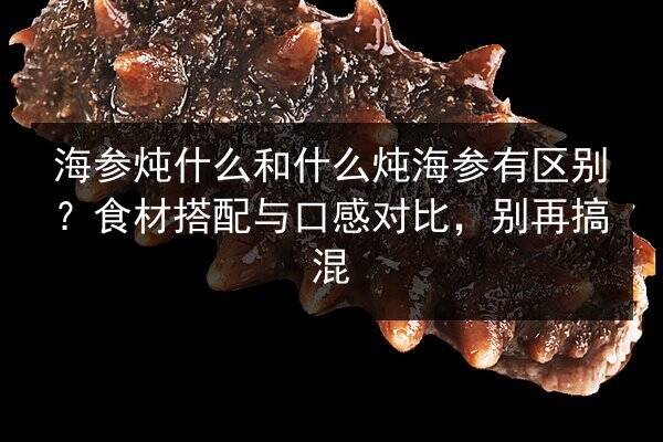 海参炖什么和什么炖海参有区别?食材搭配与口感对比,别再搞混